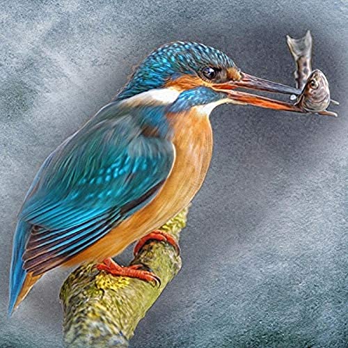 WYWQN 5D Diamond Painting Kit Grüner Eisvogel Essen Fisch DIY Diamond Painting Kits Für Erwachsene Full Drill Strass Stickerei Kreuzstich Kunsthandwerk Für Zuhause Wanddekoration, 50x60CM von WYWQN