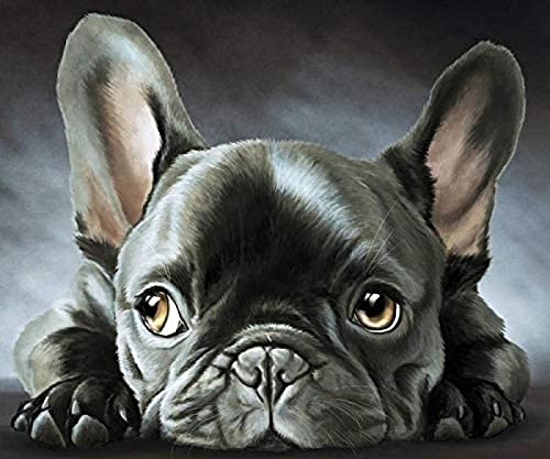 WYWQN 5D Diy Diamond Painting Kit Schwarze Französische Bulldogge Diamond Painting Arts Craft für Home Wall Decor Full Kit (Square Diamond Painting 30x40CM von WYWQN