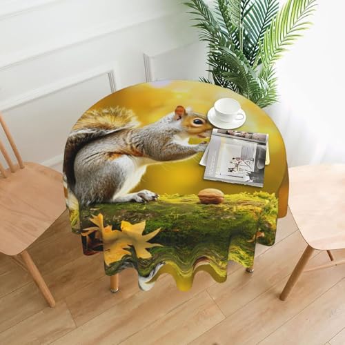 WZYWHJ Runde dekorative Tischdecke mit Eichhörnchen-Motiv, Walnuss-Druck, 152,4 cm, kann gewaschen und wiederverwendet werden, für runde Tische, Esstisch, Couchtisch von WZYWHJ