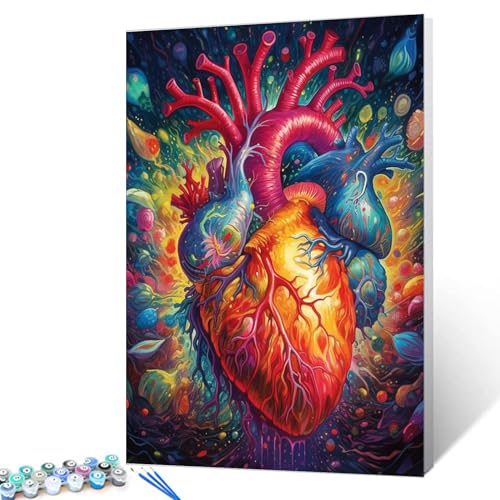 Heart Anatomy Malen nach Zahlen für Erwachsene und Anfänger, Blutfluss, Kunstbild, Geschenk, Ölgemälde-Set auf Leinwand mit Pinseln, Acrylpigment, digitale Malerei für Zuhause, Wanddekoration, 40,6 x von Walarky