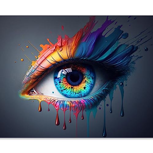 Malen nach Zahlen für Anfänger, buntes Auge, Doodle Ölgemälde-Sets auf Leinwand, einfach zu malen, Kunstwerk mit Pinseln, Acryl-Pigment, digitale Malerei für Heimwanddekoration 40 x 50 cm (gerahmt) von Walarky