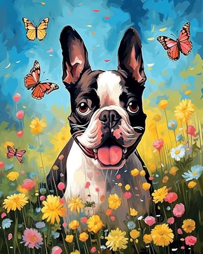 Blumen und Schmetterlinge DIY Hand Painted Oil Painting Kit for Beginners and Adults,Boston Terrier Hund,Painting by Numbers Adult for Home Decoration Birthday Christmas,Gift,40x50cm Without Frame von Wallphantom