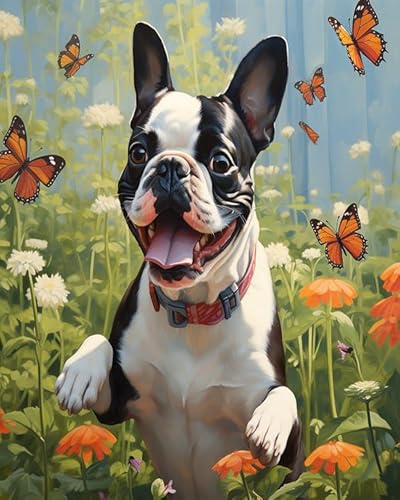 Blumen und Schmetterlinge Painting by Numbers Adult,Boston Terrier Hund,DIY Hand-Painted Oil Painting Canvas Kits with Brush and Acrylic Paint as Gifts and Home Decoration,40x50cm Without Frame von Wallphantom