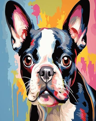 Bunte Tiere Hund DIY set erwachsene malen nach zahlen,Boston Terrier Hund,Ölgemälde-Set auf Leinwand mit Pinseln und Acrylpigmenten als Heimdekorationsgeschenk,40x50cm Without Frame von Wallphantom