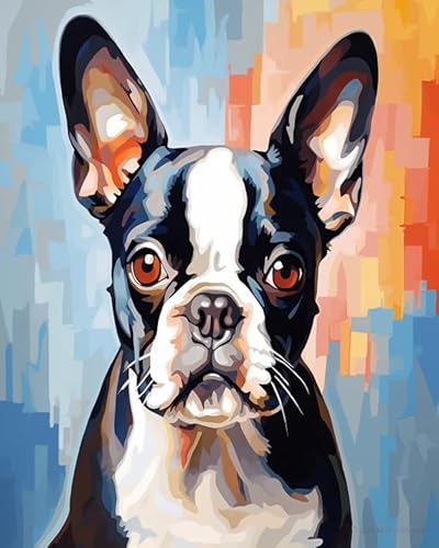 Bunte Tiere Hund Malen Nach Zahlen,Boston Terrier Hund,Malen Nach Zahlen Kinder Anfänger,Geschenke,DIY Ölgemälde Set mit Pinseln Acrylpigment Leinwan,40x50cm Without Frame von Wallphantom