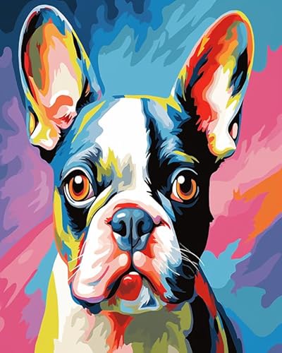 Bunte Tiere Hund Malen nach Zahlen für Erwachsene,Boston Terrier Hund,DIY-Acrylmalerei-Geschenk,Malerei zum Entspannen und als Wanddekoration zu Hause,40x50cm Without Frame von Wallphantom