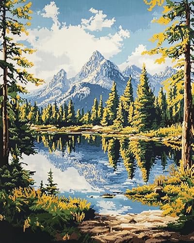 DIY Cross Stitch 11CT Embroidery Kits,Wald See Landschaft,Needlework Craft Set Printed Canvas Cotton Thread Home Decoration For Wall,16x20in von Wallphantom