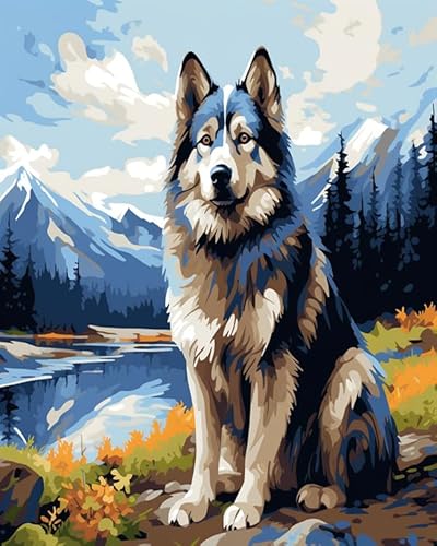 Malen nach Zahlen für Erwachsene,Alaskan Hund Tier,DIY-Acrylmalerei-Geschenk,Malerei zum Entspannen und als Wanddekoration zu Hause,40x50cm Without Frame von Wallphantom