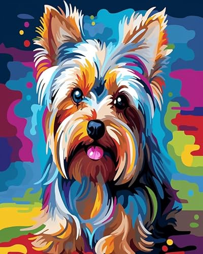 Malen nach Zahlen für Erwachsene,Bunte Tiere Yorkshire Terrier,DIY-Acrylmalerei-Geschenk,Malerei zum Entspannen und als Wanddekoration zu Hause,40x50cm rahmenlos von Wallphantom