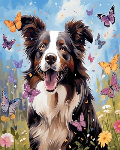 Tier Hund DIY Canvas Painting Set for Adults,Border Collie liegt auf dem Dach,Paint by Number for Beginners,Oil Painting Kits for Modern Home Wall Decor,40x50cm Without Frame von Wallphantom