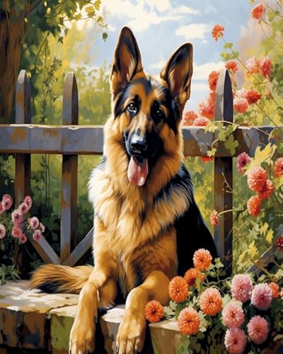 Tier Hund DIY Canvas Painting Set for Adults,Deutscher Schäferhund im Garten,Paint by Number for Beginners,Oil Painting Kits for Modern Home Wall Decor,40x50cm Without Frame von Wallphantom