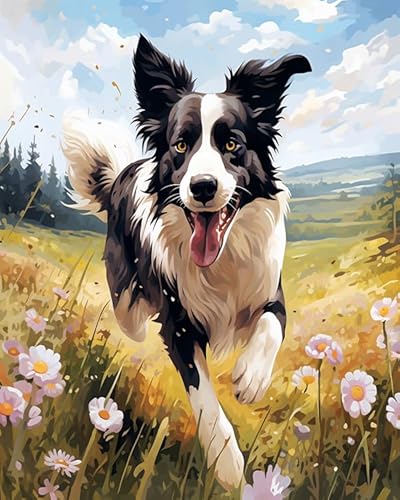 Tier Hund DIY Hand Painted Oil Painting Kit for Beginners and Adults,Border Collie läuft zwischen Blumen,Painting by Numbers Adult for Home Decoration Birthday Christmas,Gift,40x50cm Without Frame von Wallphantom