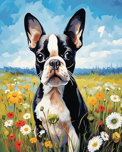 Tier Hund DIY Hand Painted Oil Painting Kit for Beginners and Adults,Boston Terrier Hund zwischen Blumen,Painting by Numbers Adult for Home Decoration Birthday Christmas,Gift,40x50cm Without Frame von Wallphantom