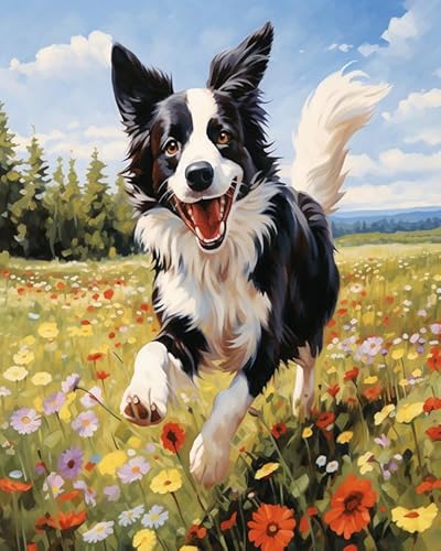 Tier Hund Malen Nach Zahlen Set für Erwachsene,Border Collie läuft zwischen Blumen,Malen Nach Zahlen Ölgemälde Set mit Pinseln Acrylpigment Leinwan,Home Wanddeko Wohnzimme,40x50cm Without Frame von Wallphantom