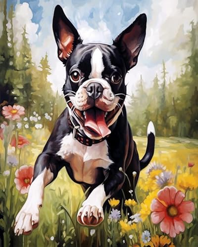 Tier Hund Malen Nach Zahlen Set für Erwachsene,Boston Terrier Hund zwischen Blumen,Malen Nach Zahlen Ölgemälde Set mit Pinseln Acrylpigment Leinwan,Home Wanddeko Wohnzimme,40x50cm Without Frame von Wallphantom