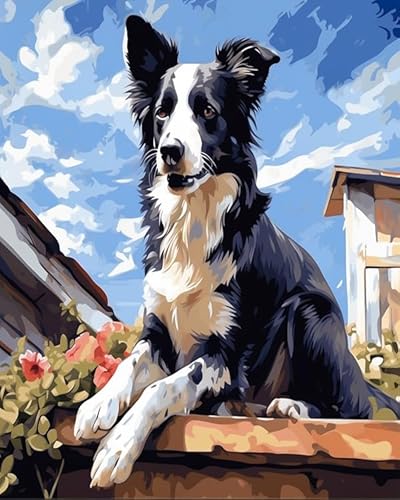 Tier Hund Malen nach Zahlen für Erwachsene,Border Collie liegt auf dem Dach,DIY-Acrylmalerei-Geschenk,Malerei zum Entspannen und als Wanddekoration zu Hause,40x50cm Without Frame von Wallphantom