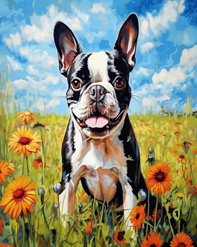 Tier Hund Painting by Numbers Adult,Boston Terrier Hund zwischen Blumen,DIY Hand-Painted Oil Painting Canvas Kits with Brush and Acrylic Paint as Gifts and Home Decoration,40x50cm Without Frame von Wallphantom