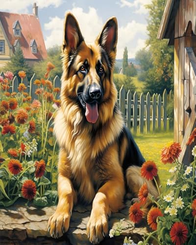 Tier Hund painting by numbers for adults canvas,Deutscher Schäferhund im Garten,DIY Oil Painting Canvas Set with Brush and Paint,as a Birthday,Christmas Gift for Women,40x50cm Without Frame von Wallphantom