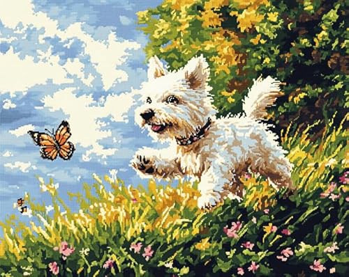 Tier Hund painting by numbers for adults canvas,West Highland White Terrier jagt Schmetterling,DIY Oil Painting Canvas Set with Brush and Paint,as a Christmas,Birthday Gift,40x50cm mit Rahmen von Wallphantom