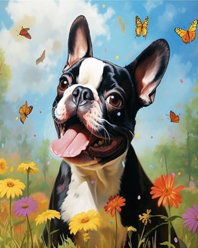 Wallphantom Blumen und Schmetterlinge Malen Nach Zahlen Erwachsene,Boston Terrier Hund,DIY Handgemalt Ölgemälde Leinwand Kits,Malen nach Zahlen für Geschenke,Home Deko,40x50cm Without Frame von Wallphantom