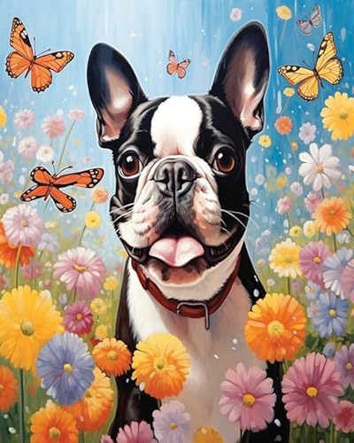 Wallphantom Blumen und Schmetterlinge Malen nach Zahlen für Erwachsene,Anfänger,Boston Terrier Hund,digitales Malen,Malen-nach-Zahlen-Set auf Leinwand,Geschenke,Home Deko,40x50cm Without Frame von Wallphantom