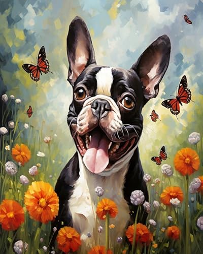 Wallphantom Blumen und Schmetterlinge malen nach zahlen anfänger erwachsene,Boston Terrier Hund,Paint by Numbers,Handgemalt Ölgemälde Leinwand Bastelset für Geschenk,40x50cm Without Frame von Wallphantom