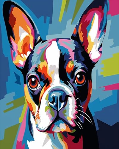 Wallphantom Bunte Tiere Hund Malen Nach Zahlen Erwachsene,Boston Terrier Hund,DIY Handgemalt Ölgemälde Kit für Anfänger,Leinwand Bastelset für Geschenk,40x50cm Without Frame von Wallphantom