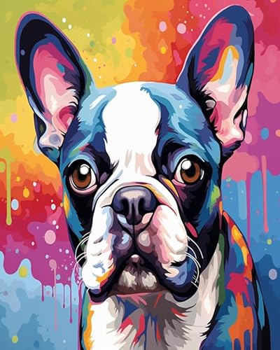 Wallphantom Bunte Tiere Hund Malen Nach Zahlen Erwachsene,Boston Terrier Hund,Malen Nach Zahlen Anfänger mit Leinwand Pinseln Acrylpigment,Home Wanddeko Wohnzimme,40x50cm Without Frame von Wallphantom