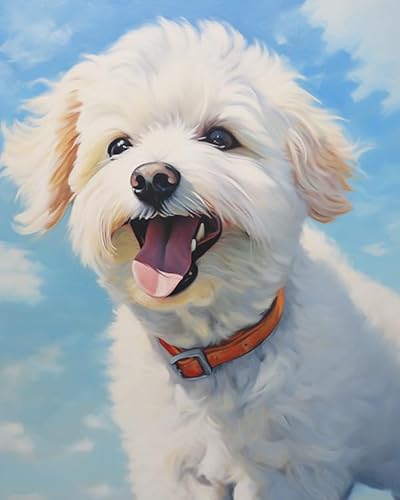 Wallphantom DIY Hand Painted Oil Painting Kit for Beginners and Adults,Ein süßer Bichon Frise-Hund,Painting by Numbers Adult for Home Decoration Birthday Christmas,Gift,40x50cm Without Frame von Wallphantom