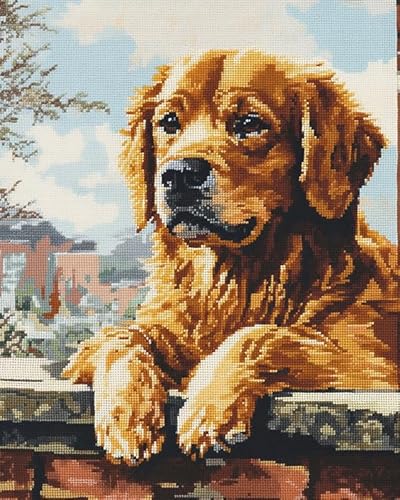 Wallphantom Golden Retriever Malen Nach Zahlen Set für Erwachsene,Tier Hund,Malen Nach Zahlen Ölgemälde Set mit Pinseln Acrylpigment Leinwan,Home Wanddeko,40x50cm mit Rahmen von Wallphantom