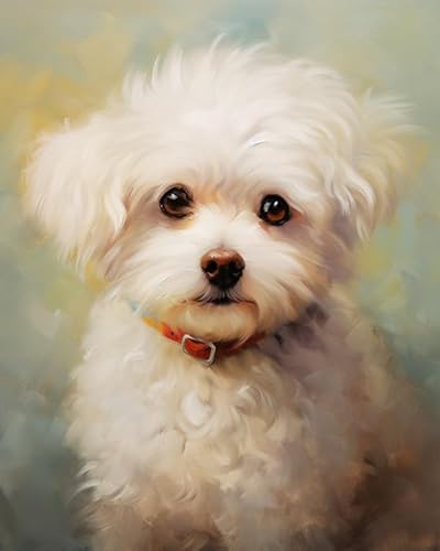 Wallphantom Painting by Numbers Adult,Ein süßer Bichon Frise-Hund,DIY Hand-Painted Oil Painting Canvas Kits with Brush and Acrylic Paint as Gifts and Home Decoration,40x50cm Without Frame von Wallphantom