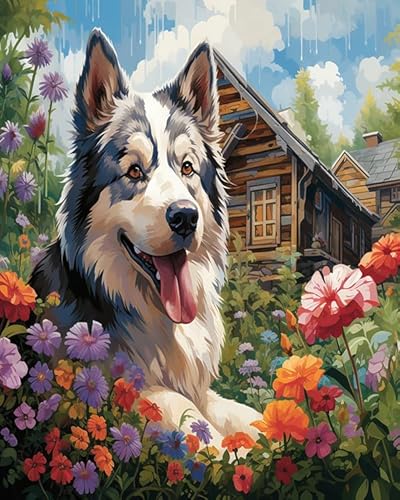 Wallphantom Painting by Numbers Adult,Tiere Hunde zwischen den Blumen,DIY Hand-Painted Oil Painting Canvas Kits with Brush and Acrylic Paint as Gifts and Home Decoration,40x50cm Without Frame von Wallphantom