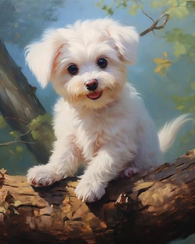 Wallphantom Painting by Numbers for Adults,Ein süßer Bichon Frise-Hund,Easy DIY Oil Painting Kit on Canvas with Brushes and Acrylic Pigment,Funny Picture for Beginners,40x50cm Without Frame von Wallphantom