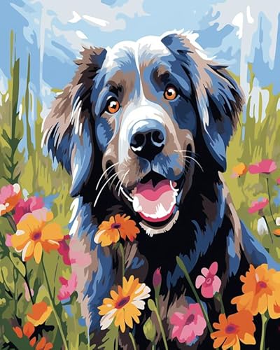 Wallphantom Painting by Numbers for Adults,Tiere Hunde zwischen den Blumen,Easy DIY Oil Painting Kit on Canvas with Brushes and Acrylic Pigment,Funny Picture for Beginners,40x50cm Without Frame von Wallphantom