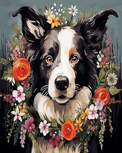 Wallphantom Tier Hund DIY Malen Nach Zahlen Erwachsene,Border Collie trägt einen Kranz,Malen Nach Zahlen Set für Home Deko Geschenk,Handgemalt Ölgemälde Kit,40x50cm Without Frame von Wallphantom