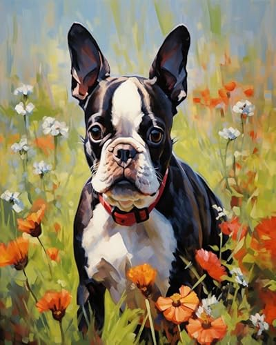 Wallphantom Tier Hund Malen Nach Zahlen Erwachsene,Boston Terrier Hund zwischen Blumen,DIY Handgemalt Ölgemälde Leinwand Kits,Malen nach Zahlen für Geschenke,Home Deko,40x50cm Without Frame von Wallphantom