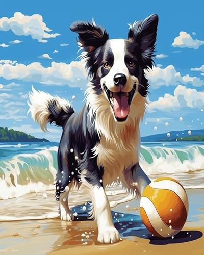 Wallphantom Tier Hund Malen nach Zahlen für Erwachsene,Anfänger,Border Collie spielt am Strand,digitales Malen,Malen-nach-Zahlen-Set auf Leinwand,Geschenke,Home Deko,40x50cm Without Frame von Wallphantom