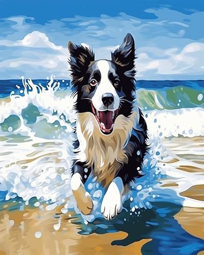 Wallphantom Tier Hund malen nach zahlen anfänger erwachsene,Border Collie spielt am Strand,Paint by Numbers,Handgemalt Ölgemälde Leinwand Bastelset für Geschenk,40x50cm Without Frame von Wallphantom