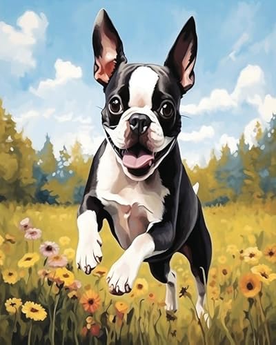 Wallphantom Tier Hund malen nach zahlen anfänger erwachsene,Boston Terrier Hund zwischen Blumen,Paint by Numbers,Handgemalt Ölgemälde Leinwand Bastelset für Geschenk,40x50cm Without Frame von Wallphantom