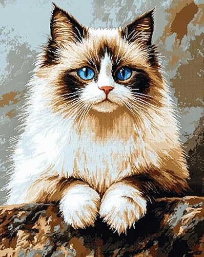 Wallphantom Tier Ragdoll Katze Malen nach Zahlen Set,Haustier Katze,Malen Nach Zahlen zur Heimdekoration,DIY Handgemalt Ölgemälde Leinwand Kits,40x50cm mit Rahmen von Wallphantom