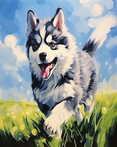 Wallphantom Tierischer Haustierhund Stickerei-Kreuzstich-Set für Anfänger und Erwachsene,Husky-Hund,Stickerei-Kits,11CT Handarbeitsset,DIY-Kunstwerk Hauswand 16X20in von Wallphantom