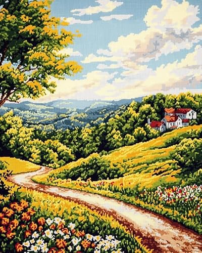 Wallphantom Vorgedruckt Kreuzstich Set,Ländliche Wiesenlandschaft,DIY Cross Stitch Stickpackung Craft Handarbeiten Vorgedruckter Stickerei-Starter-Kit für Anfänger,16x20in von Wallphantom