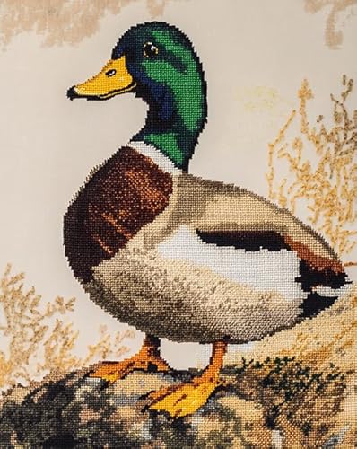 Wallphantom Vorgedruckt Kreuzstich Set,Tierische Wildente,DIY Cross Stitch Stickpackung Craft Handarbeiten Vorgedruckter Stickerei-Starter-Kit für Anfänger,16x20in von Wallphantom