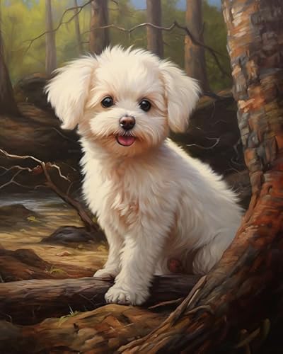 Wallphantom malen nach zahlen anfänger erwachsene,Ein süßer Bichon Frise-Hund,Paint by Numbers,Handgemalt Ölgemälde Leinwand Bastelset für Geschenk,40x50cm Without Frame von Wallphantom