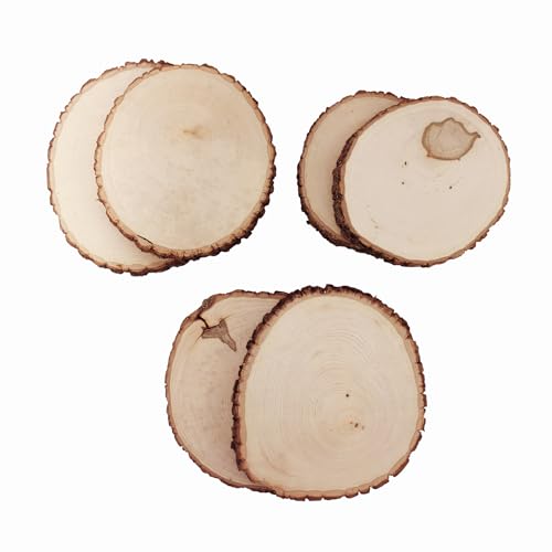 Walnut Hollow Dickes, rustikales Lindenholz, rund, 17,8–25,4 cm breit, 6 Stück – für Holzverbrennung, Heimdekoration und rustikale Hochzeiten von Walnut Hollow