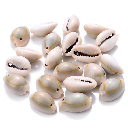 100 Stück Muscheln bastelnmuscheln mit löcher Ideal zum Basteln, Deko oder zum Schmuckherstellung,VasenfüLlung,ArmbäNder,HalskettenzubehöR,Hochzeitsdekoration Zum Thema Strandparty,wahre Farbe von Wambere