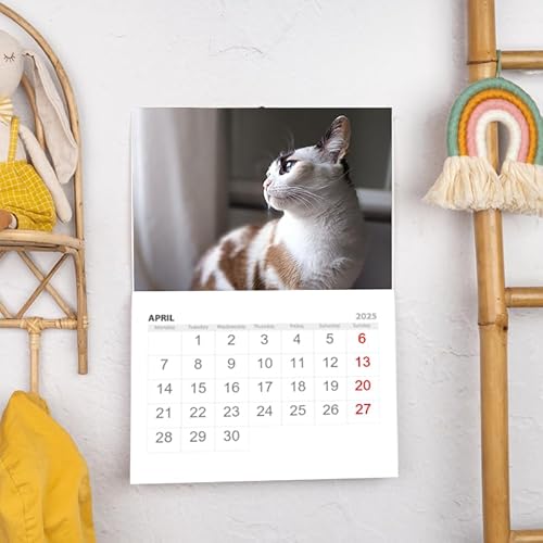 Wanapix | Wandkalender A3 Personalisierter 2025 | Auf Deutsch | Jeden Monat mit einem anderen Foto | Mit Loch zum Aufhängen | Originelle Kalender mit deinen Fotos | 32 x 45 cm | Basic von Wanapix