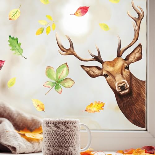 Wandtattoo Loft Fensterbild reinschauender Hirsch Rotwild Wild bunte Blätter Herbst herbstlicher Fensteraufkleber Fensterdeko Herbstdeko, 2. A3 Bogen, von rechts von Wandtattoo Loft