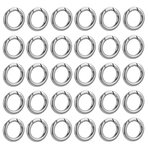 Ring Karabiner,40 Stück Runde Karabiner Rund Karabinerhaken Wanfoou 20 mm Schlüsselringe kleine karabinerhaken Für den Alltag am Rucksack oder am Schlüsselbund,DIY Handwerk Karabiner von Wanfoou