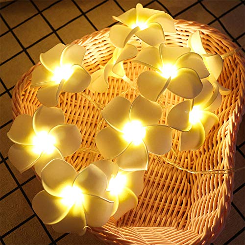 Wankd Lichterketten LED Lamp Simulation Plumeria blütenkette 6M 40LED Lichterketten Batteriebetriebene Beleuchtung Deko für Garten Party Hochzeit Valentinstag Weihnachten von Wankd